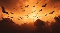 silhouette of a flock of bats against the background of an orange sky at sunset over a forest Royalty Free Stock Photo