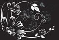 Silhouette of Floral designs