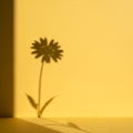 Silhouette of Flower Shadow on Yellow Wall Artistic Composition Royalty Free Stock Photo