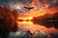 A silhouette of a flying bird over a lake at sunset in autumn Royalty Free Stock Photo