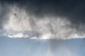 Silhouette of flying bird in rainy cloudy sky Royalty Free Stock Photo