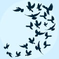 Silhouette flying birds on blue sky background. vector illustration Royalty Free Stock Photo