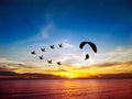 Silhouette flying birds and para motor over sea sunset sky Royalty Free Stock Photo