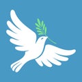 Silhouette of a flying dove with olive branch. White pigeon