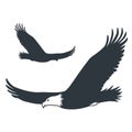 Silhouette flying eagle element wild nature animal Royalty Free Stock Photo
