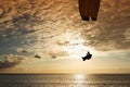 Silhouette of flying paraglider