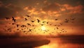 Silhouette of flying seagulls in tranquil sunset over water generated by AI Royalty Free Stock Photo