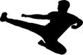 Silhouette Flying Side Kick