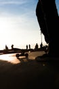 Silhouette of a foot on the skateboard in the skatepark Royalty Free Stock Photo