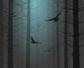 Silhouette of the forest with flying birds