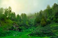 Silhouette of forested himalayas mountain slope with the evergreen conifers shrouded in misty landscape view from prashar lake