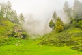 Silhouette of forested himalayas mountain slope with the evergreen conifers shrouded in misty landscape view from prashar lake