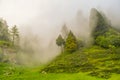 Silhouette of forested himalayas mountain slope with the evergreen conifers shrouded in misty landscape view from prashar lake