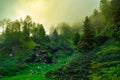 Silhouette of forested himalayas mountain slope with the evergreen conifers shrouded in misty landscape view from prashar lake