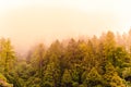 Silhouette of forested himalayas mountain slope with the evergreen conifers shrouded in misty landscape view from prashar lake