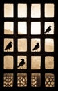 Silhouette of four birds making a tick sign on a patternlike window in India