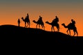 Silhouette of four camel riders. Up hill with sunset background