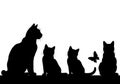 Background is plain white, accentuating the dark outlines of the cats Royalty Free Stock Photo
