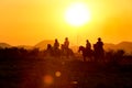 Silhouette of four western riders against amber colored sunset Royalty Free Stock Photo