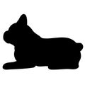 Silhouette of French Bulldog lying down