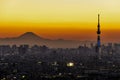 Silhouette Fuji Mountain and Illumination of Tokyo Skytree at Sunset Winter, Chiba, Japan