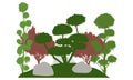 Silhouette of garden with decorative trees. Beautiful bonsai, cypress and other coniferous trees. Vector illustration