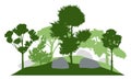 Silhouette of  garden with decorative trees. Beautiful coniferous trees. Vector illustration Royalty Free Stock Photo