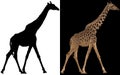 Silhouette of giraffe.