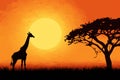 Silhouette of giraffes in savanna at sunset, vector illustration, Giraffe Silhouette - African Wildlife Background - Beauty in Royalty Free Stock Photo