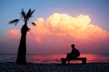 Silhouette girl with backpack sitting on bench on an empty beach with lonely palm tree and looking at an amazing purple sunset.