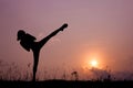 Silhouette of girl exercising side kick. Royalty Free Stock Photo