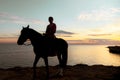 Silhouette of a girl on a horse against the background of the gentle sunset sky. Royalty Free Stock Photo