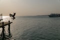 Silhouette of a girl jumping into the water at dawn Royalty Free Stock Photo