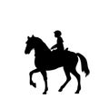Silhouette girl rider horseback equitation Royalty Free Stock Photo