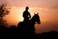 Silhouette of a girl riding a horse rider