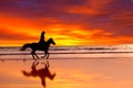 Silhouette Of The Girl Skipping On A Horse
