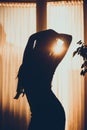 Silhouette of girl in sunlight Royalty Free Stock Photo
