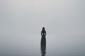 silhouette of a girl in a white dress on the beachbeautiful view of the seasilhouette of a girl in a white dress on the beach Royalty Free Stock Photo
