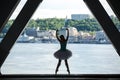 Silhouette of graceful ballerina in white tutu Royalty Free Stock Photo