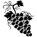 Silhouette Grapes illustration