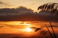 Silhouette of grass flower on beautiful background with Twilight and mountain sunset backdrop. grass flower grows naturally on