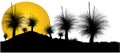 Silhouette of Grass tree or black boy tree at sunset with white background Royalty Free Stock Photo