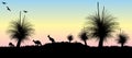 Silhouette of Grass tree and kangaroos with yellow and pink sunset