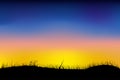 Silhouette grassland when Sunrise or Sunset