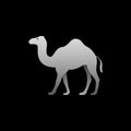 Silhouette of a gray camel standing. Royalty Free Stock Photo