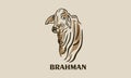simple big brahman cattle logo Royalty Free Stock Photo
