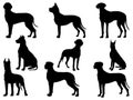 Set of Great Dane Dog silhouette vector art Royalty Free Stock Photo