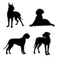 Silhouette of a great Dane. Black silhouette of a dog mastiff, set Royalty Free Stock Photo