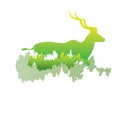 Silhouette of a Greater Kudu Inside the pine forest, bright colo Royalty Free Stock Photo