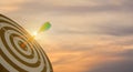 Silhouette of green dart arrow hitting bullseye target center dartboard on sunset background. Business targeting and focus concept Royalty Free Stock Photo